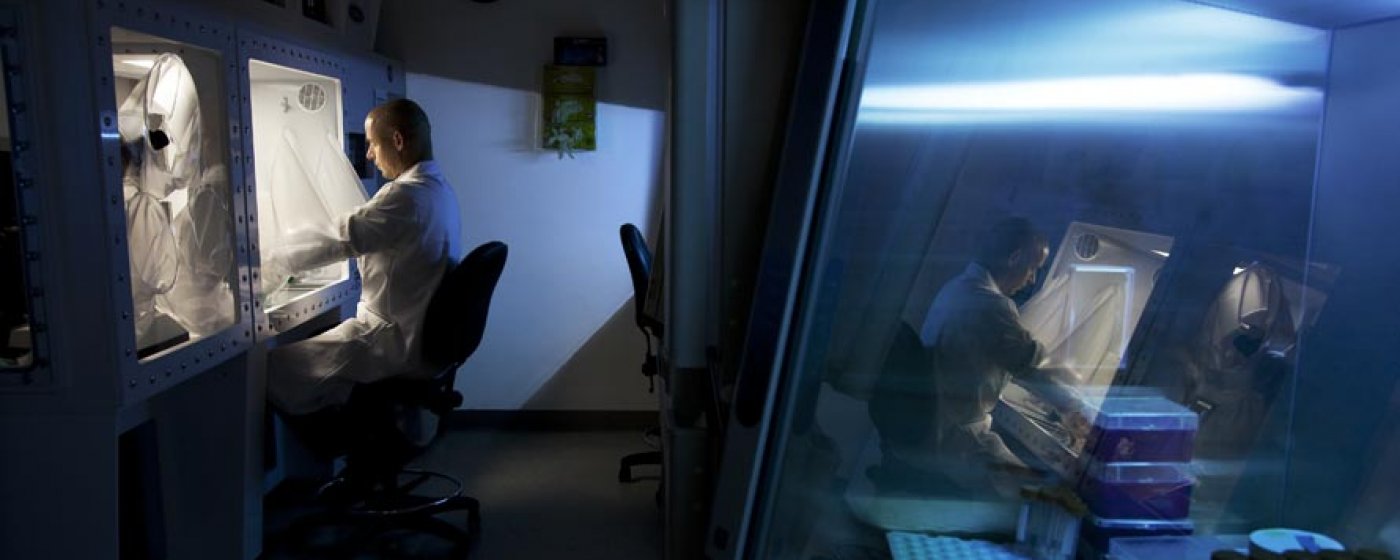 Scientists working in a tissue culture hood
