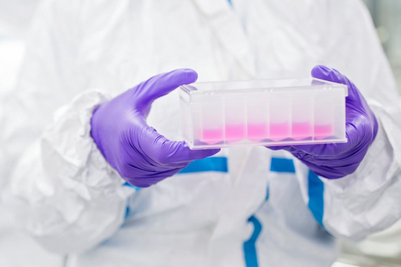 Scientist carefully carrying test tube tray