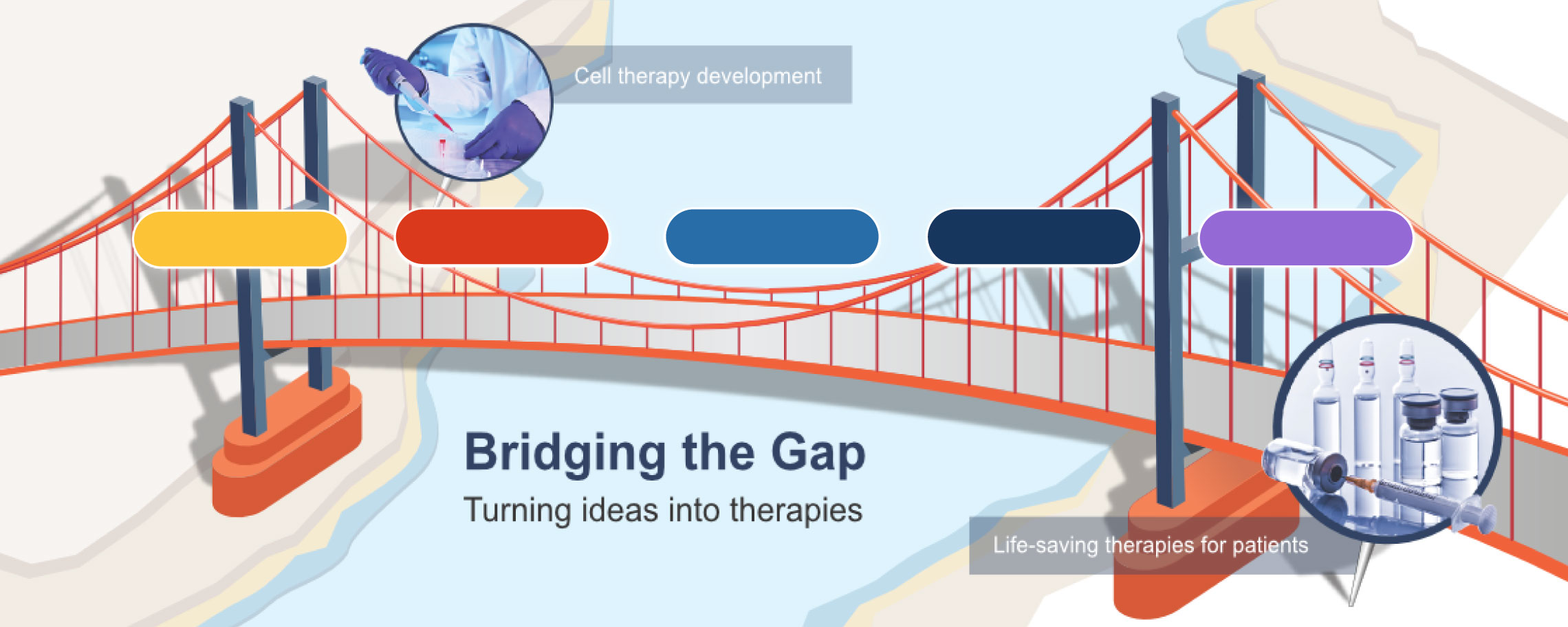 Graphic of bridge showcasing all 5 of the life-saving therapies