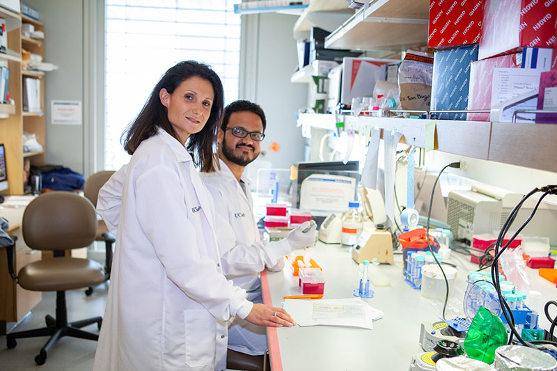 Two scientists working together in the laboratory.