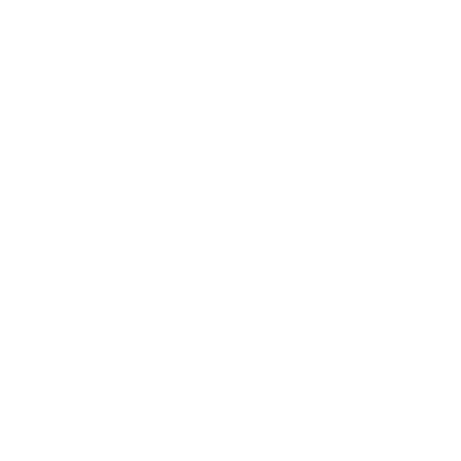 Conversation icon