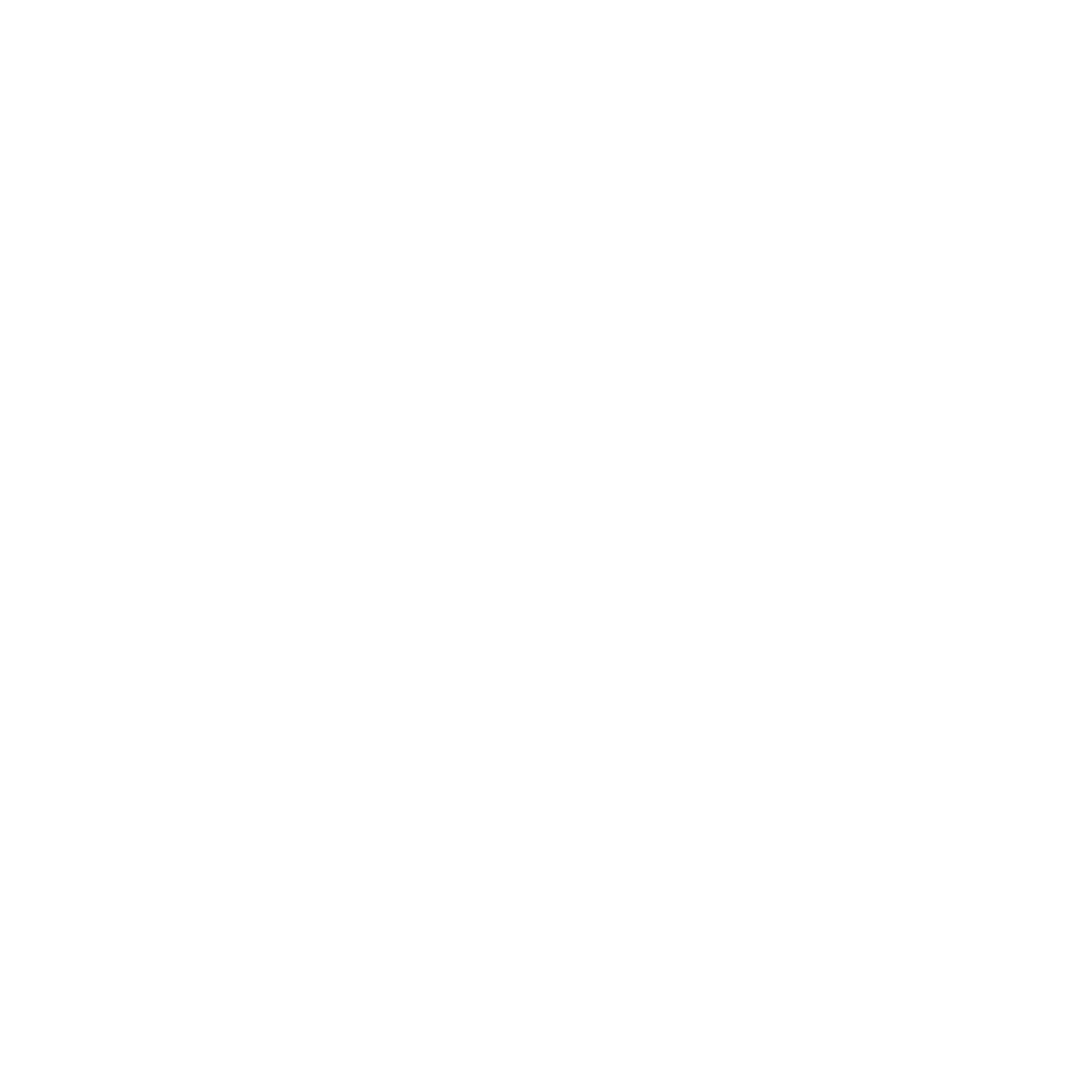 Social Media icon